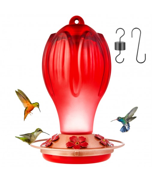 Hummingbird Feeder for Outdoors